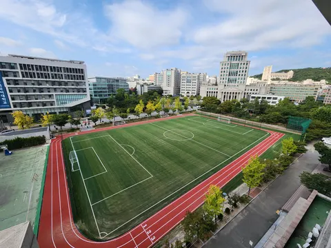 한국외대 인조잔디 축구장